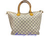 Immagine di LOUIS VUITTON SALEYA