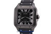 Picture of CARTIER SANTOS REF. WSSA0039